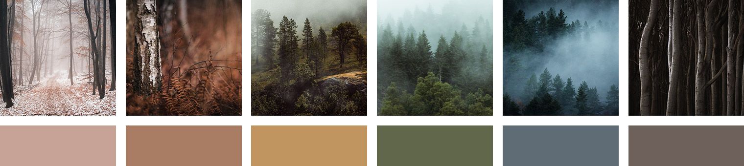 Moody Forest Landscapes