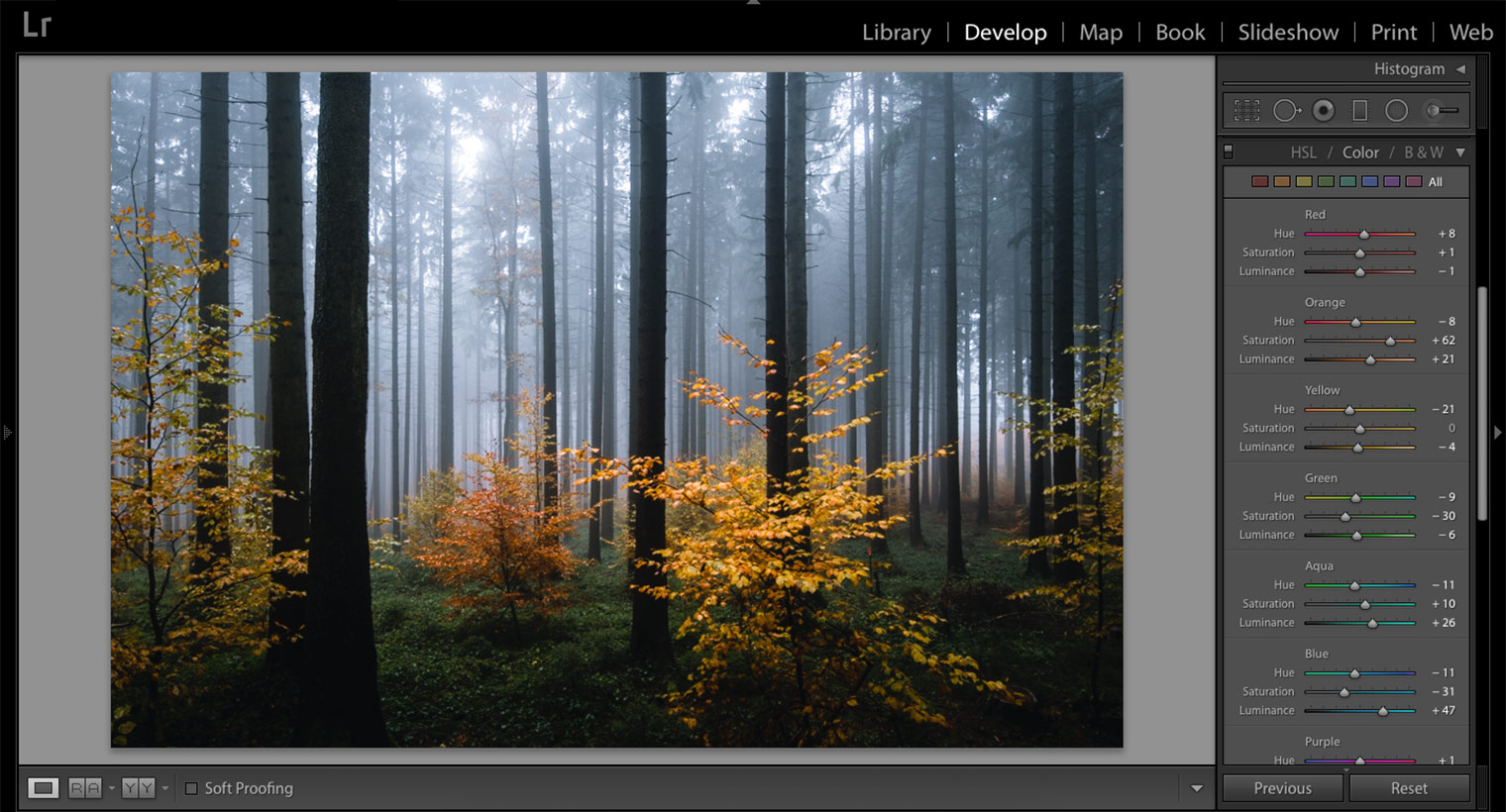 Lightroom Classic Screenshot - Edit Specific Colours in HSL