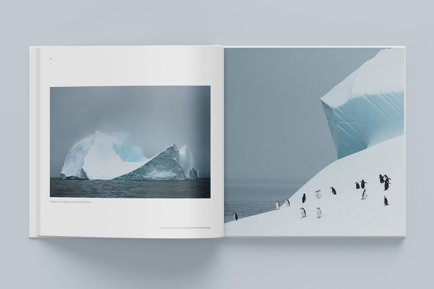 »Antarctica« Sailing Expedition with the Bark Europa (Book by Jan Erik Waider)