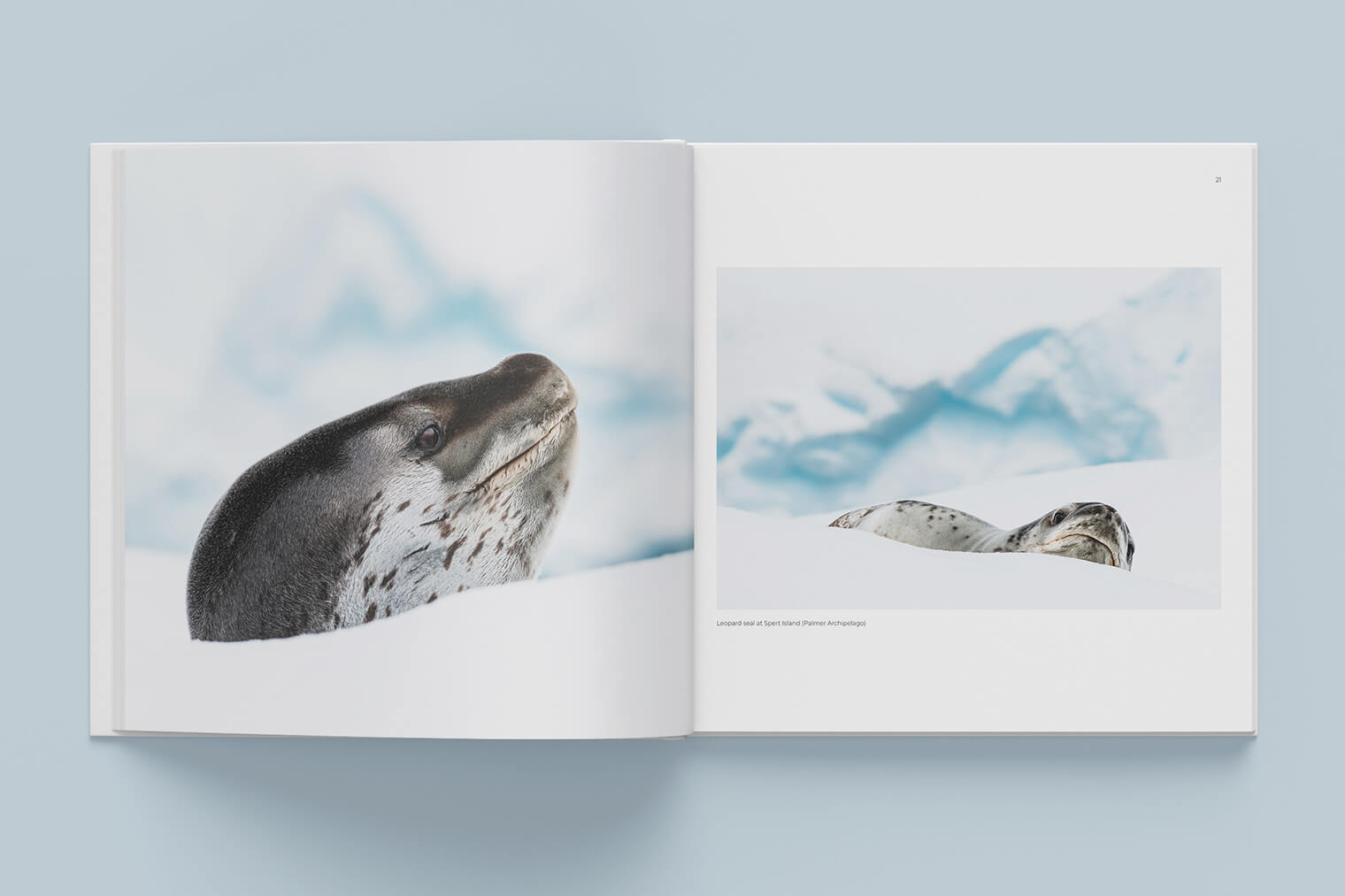 Antarctica Photo Book: Sailing Expedition with the Bark Europa