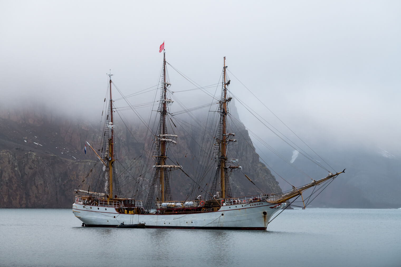 The Bark Europa