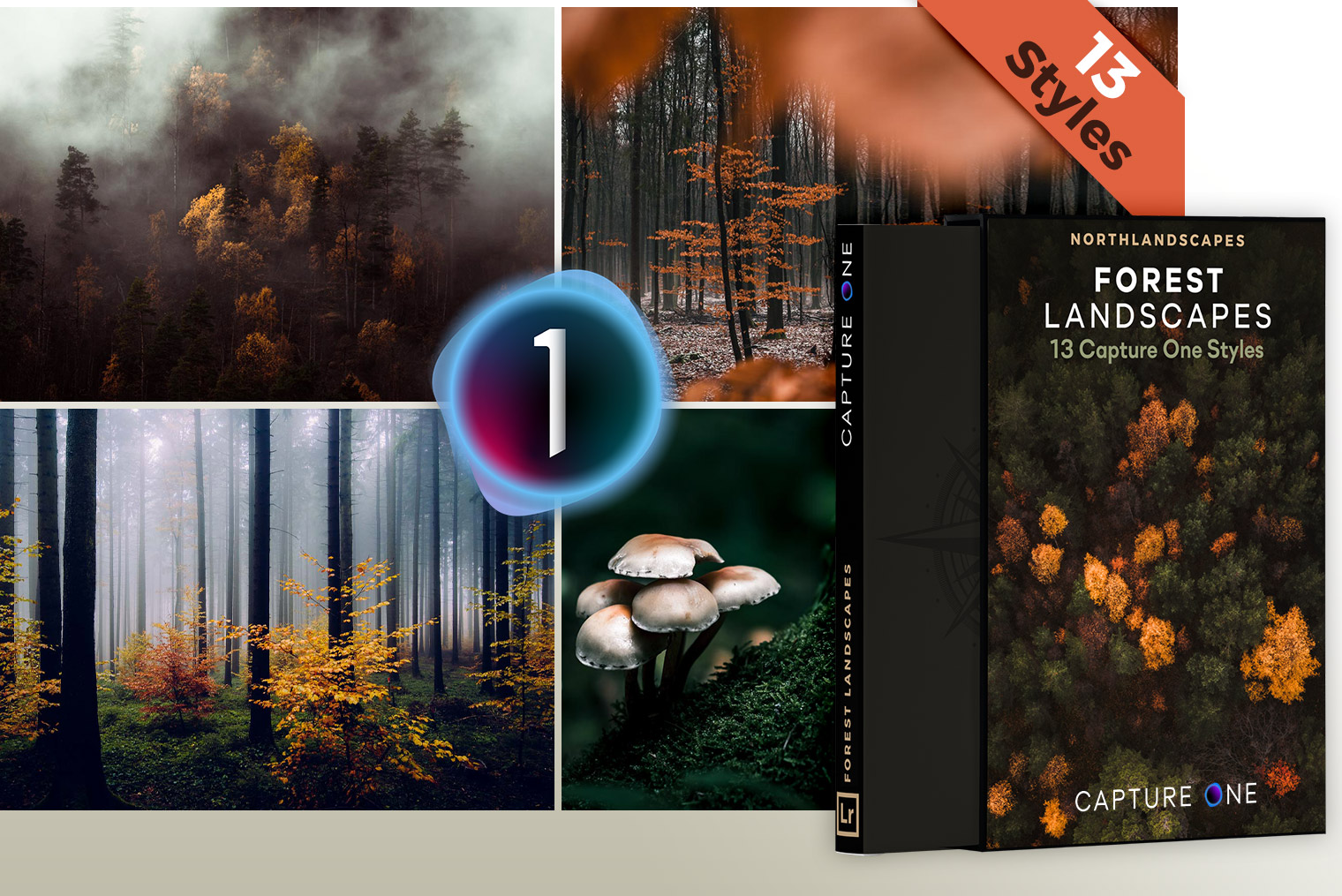 Capture One Styles for Forest & Nature Photography