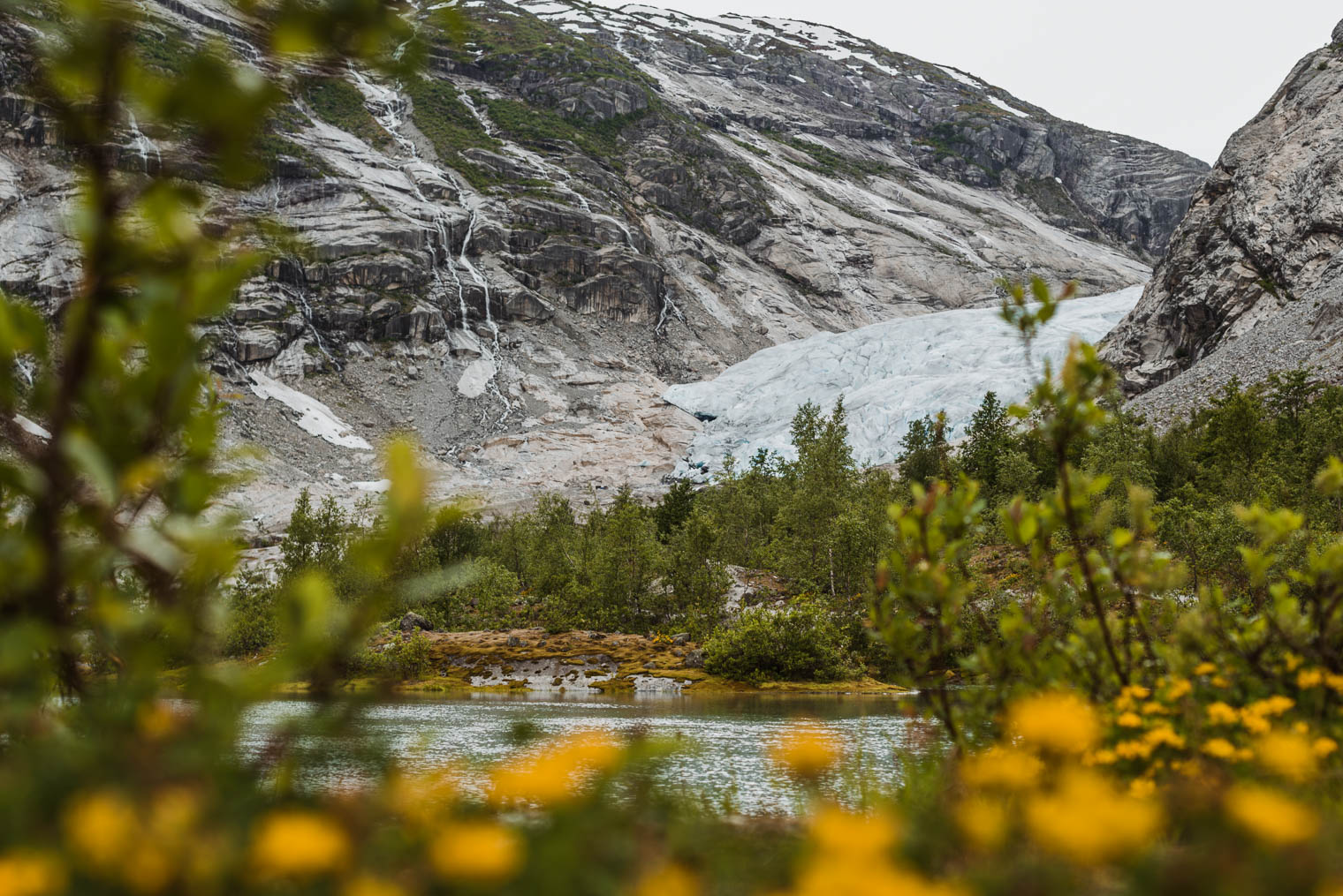 Capture One Styles - Glacier in Fjord Norway - Look C