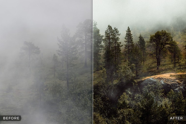 Capture One Styles for Moody Landscapes - Before & After
