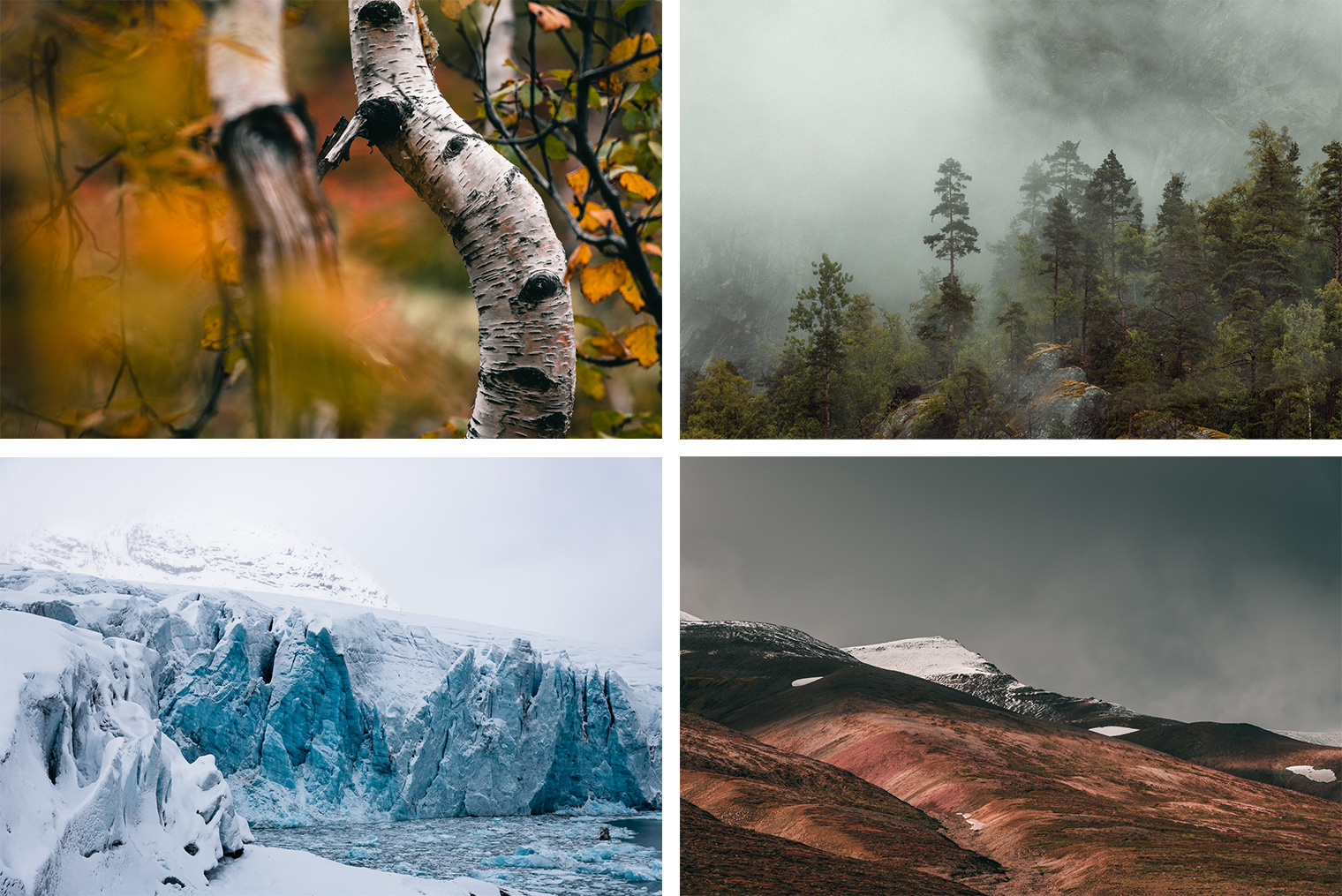 Free Capture One Styles for Moody Landscape Photography