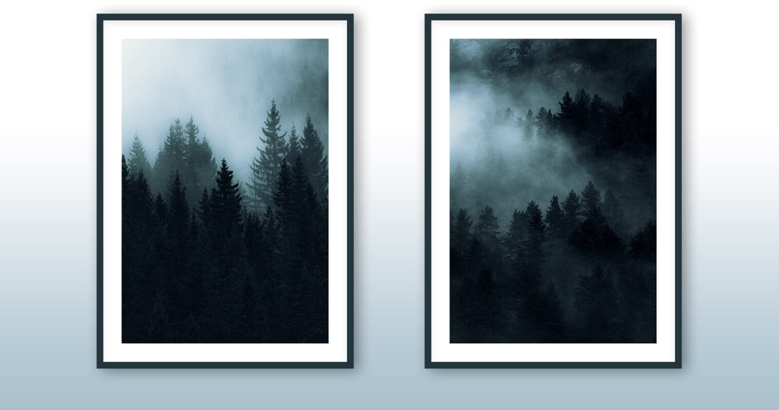 Fine Art Prints of Foggy Forest Landscape