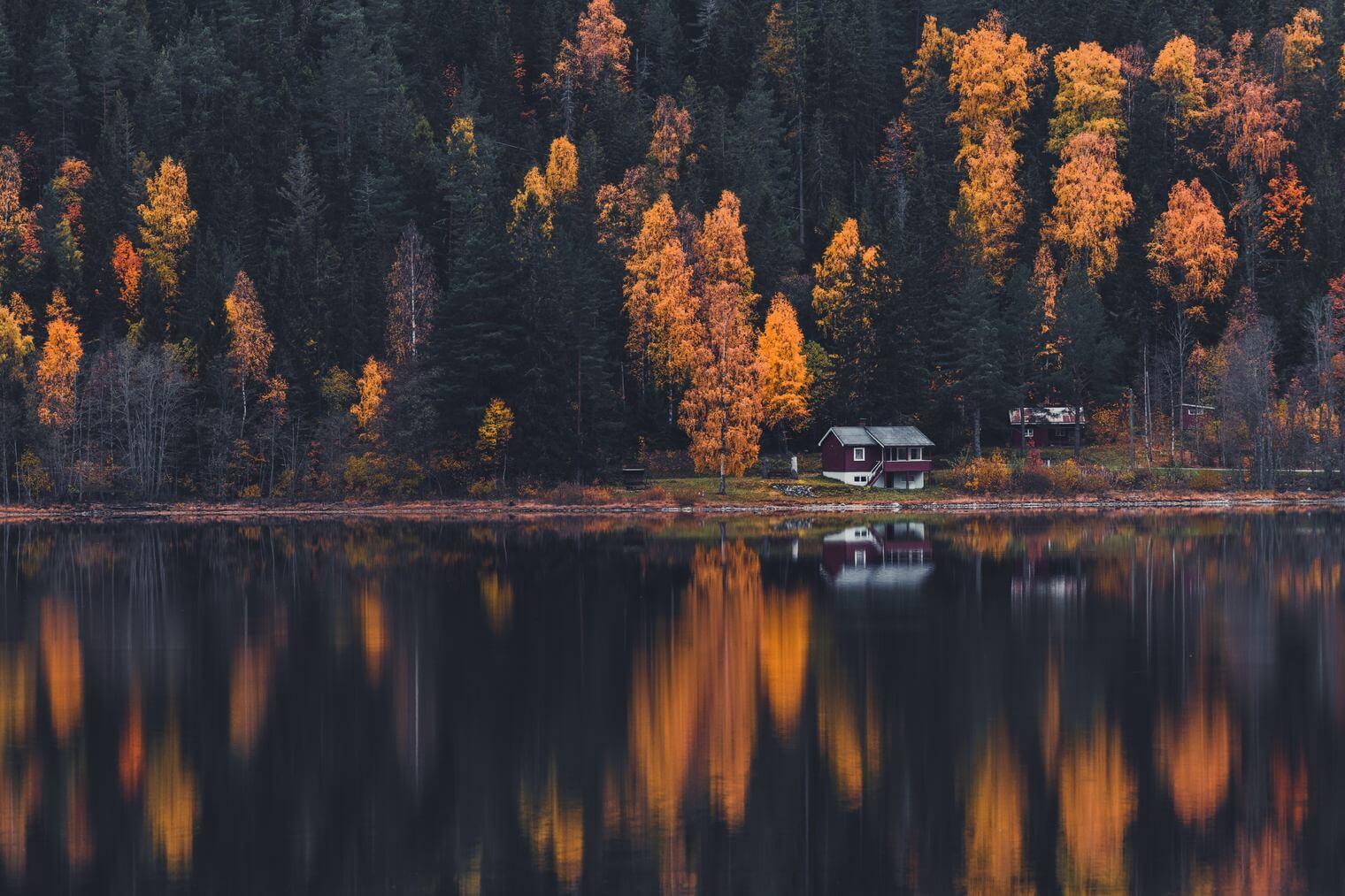 Autumn Forest with Lake and Cabin
