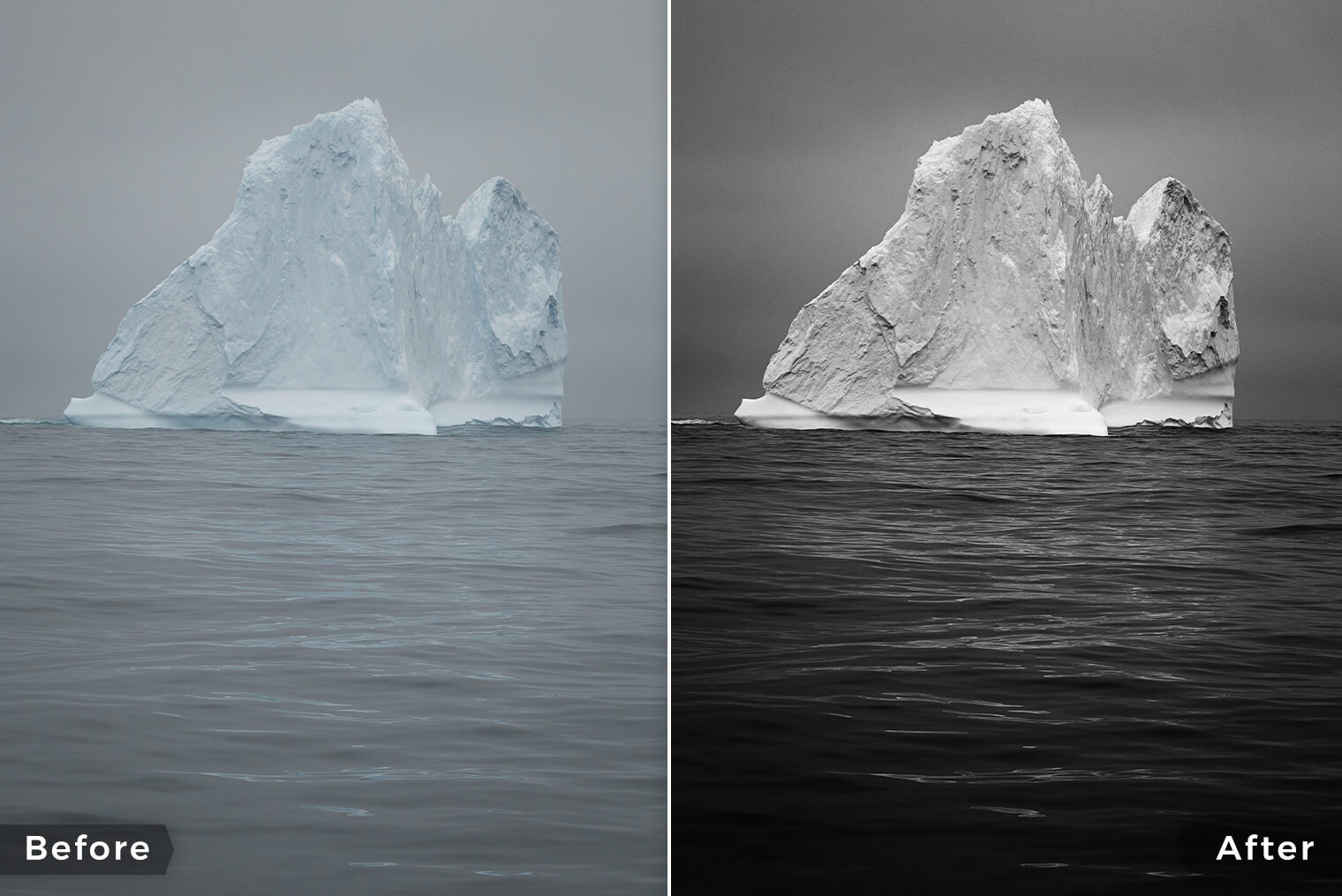 Black and White Lightroom Presets