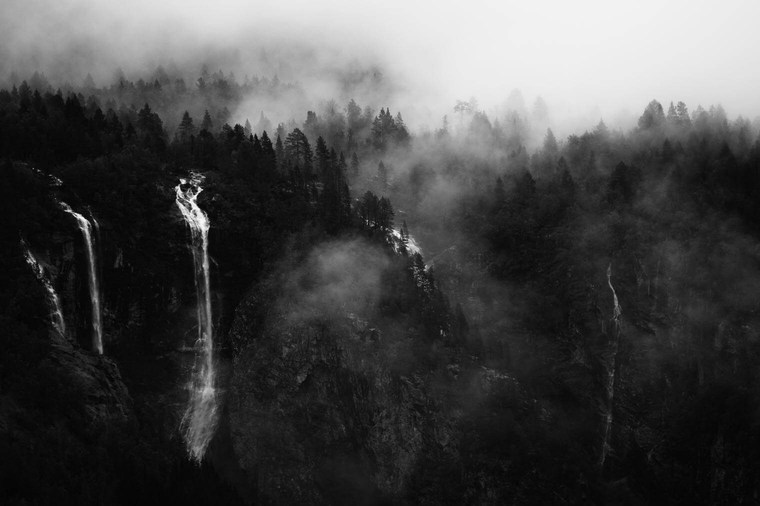 Moody Forest Landscape in Black and White