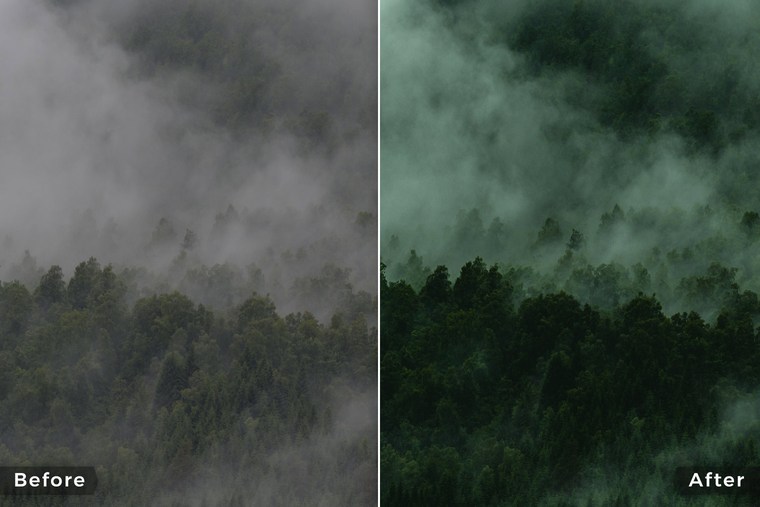 Cinematic and Moody Lightroom Presets - Before & After Example