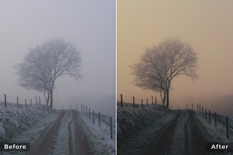 Cinematic and Dark Lightroom Presets - Before & After Example