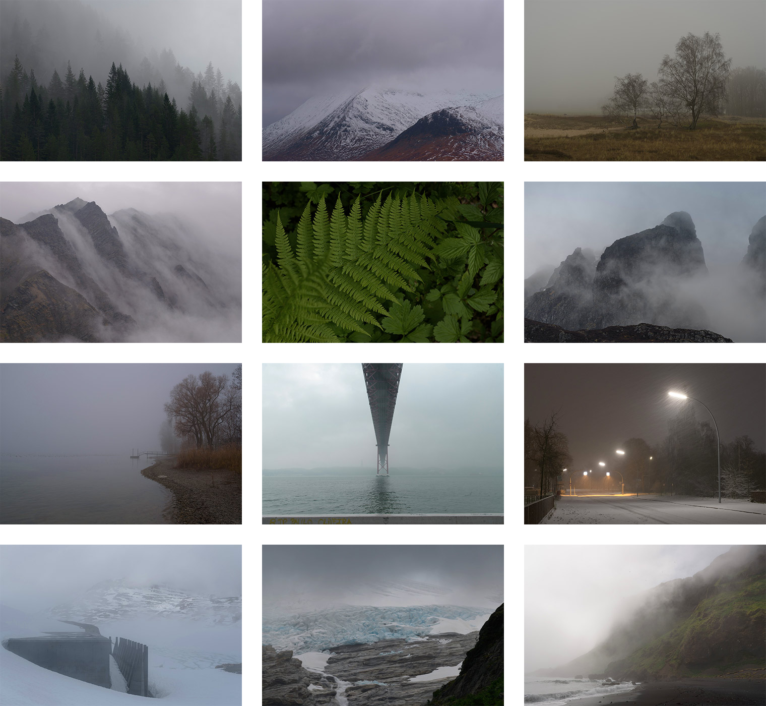 Ideal photography subjects for Cinematic Lightroom Presets