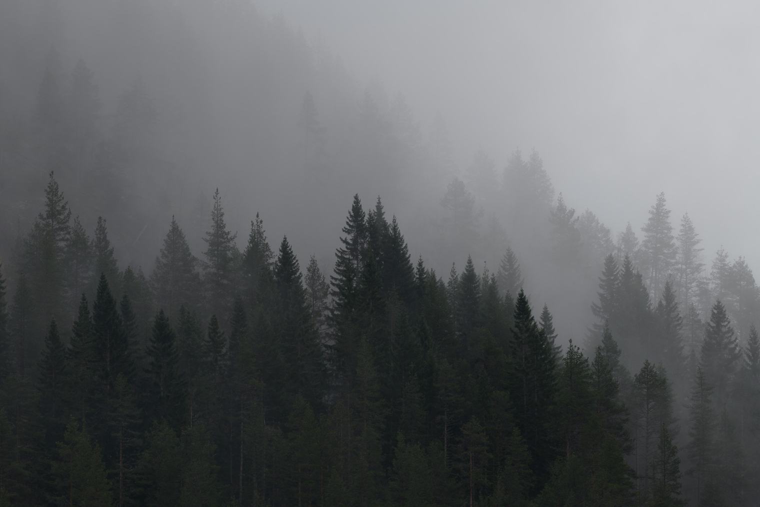 Unedited Image