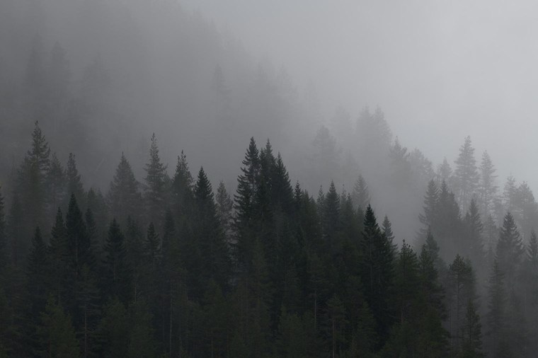 Unedited Image