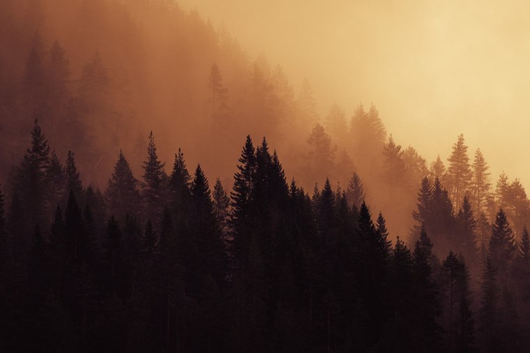 Cinematic Lightroom Presets