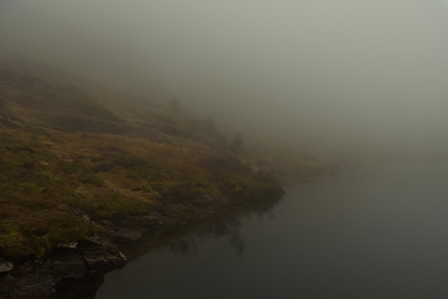 Unedited Image