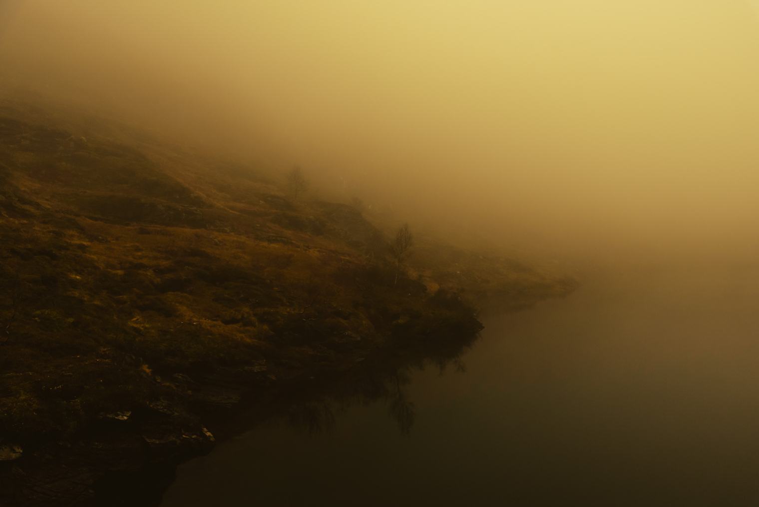 Cinematic Lightroom Presets