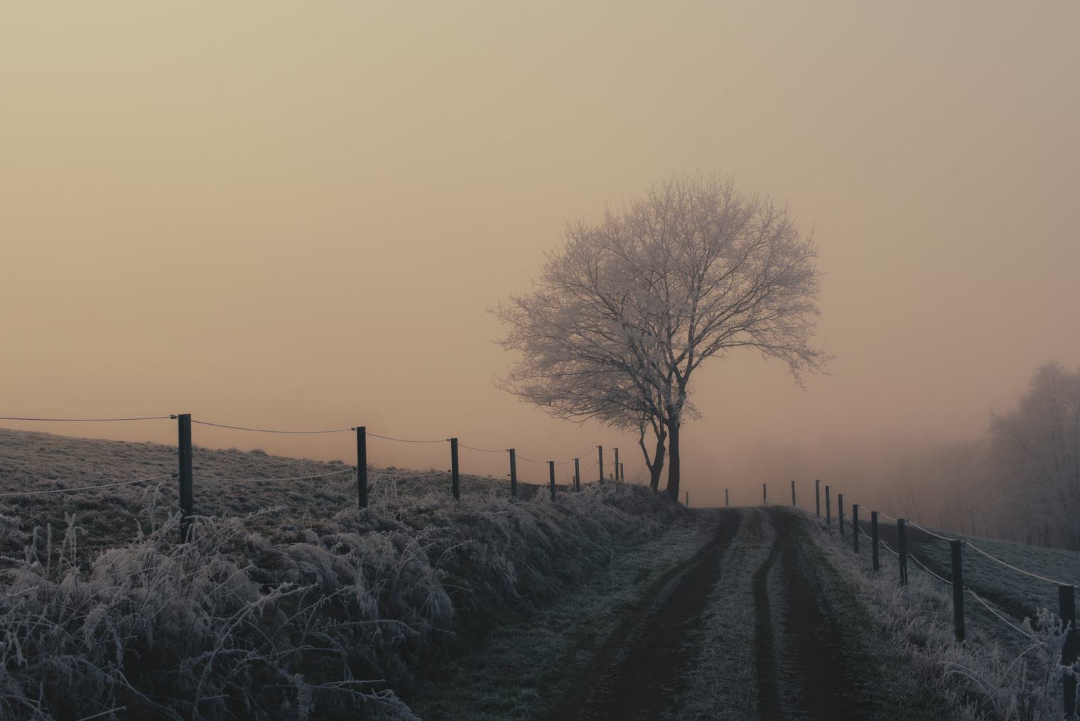 Cinematic Lightroom Presets