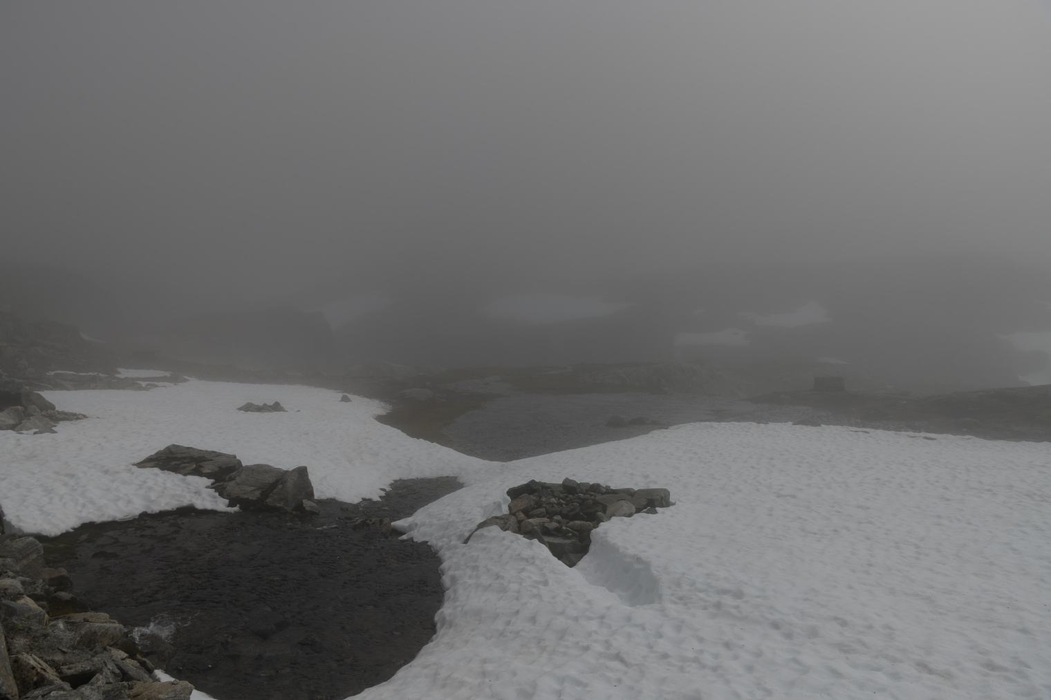 Unedited Image