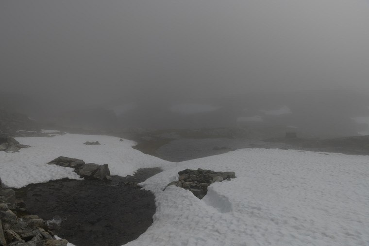 Unedited Image