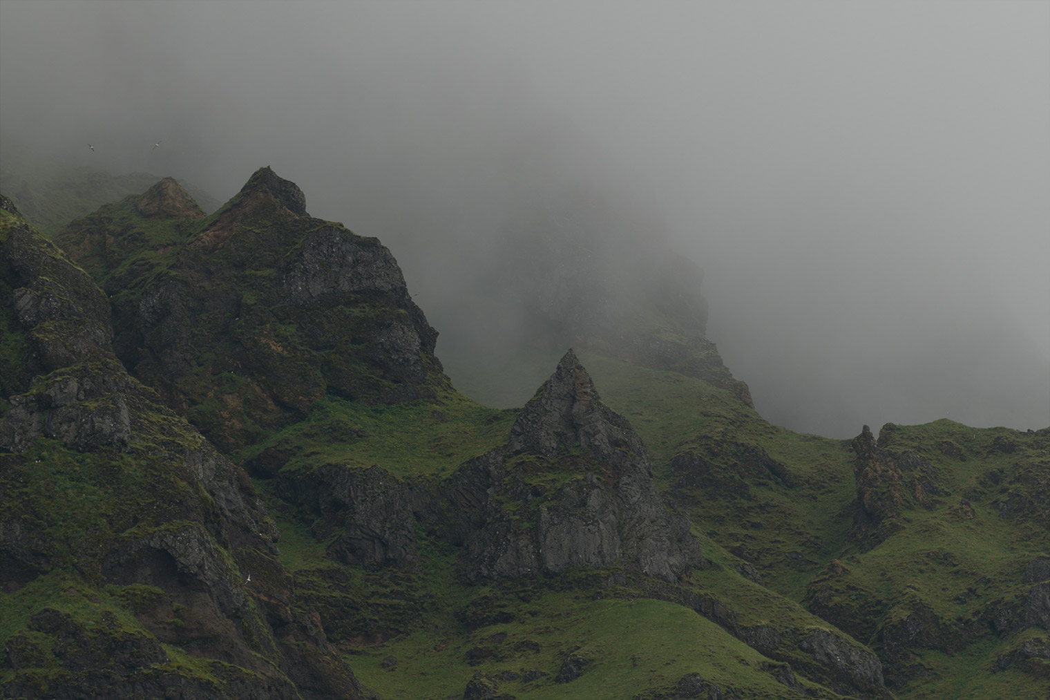 Unedited Image