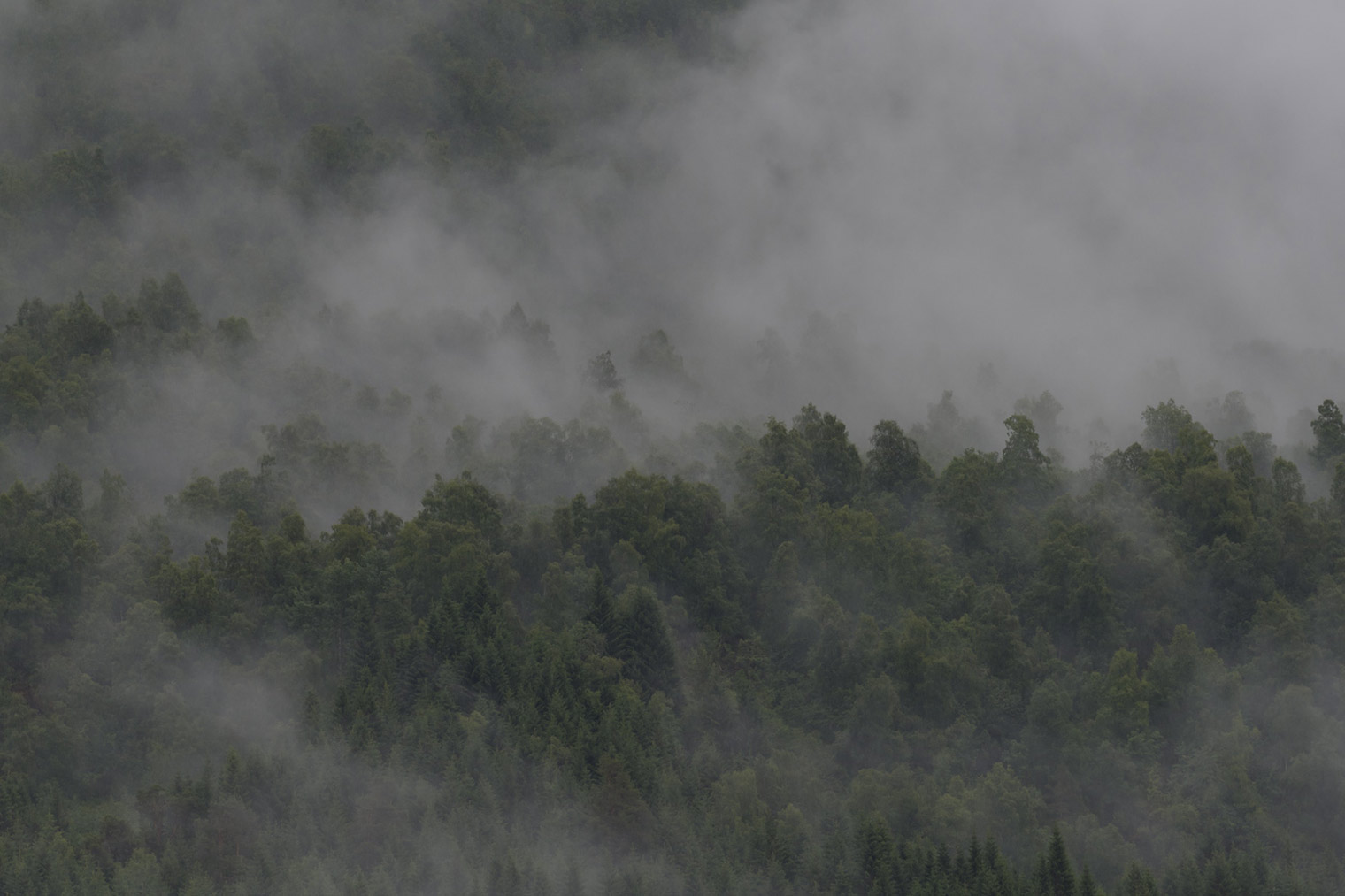 Unedited Image