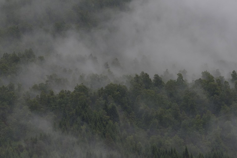 Unedited Image