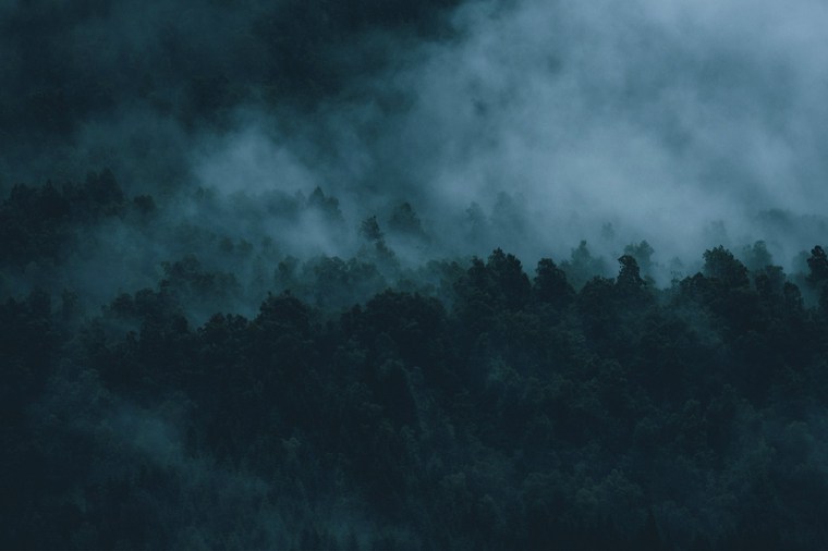 Cinematic Lightroom Presets