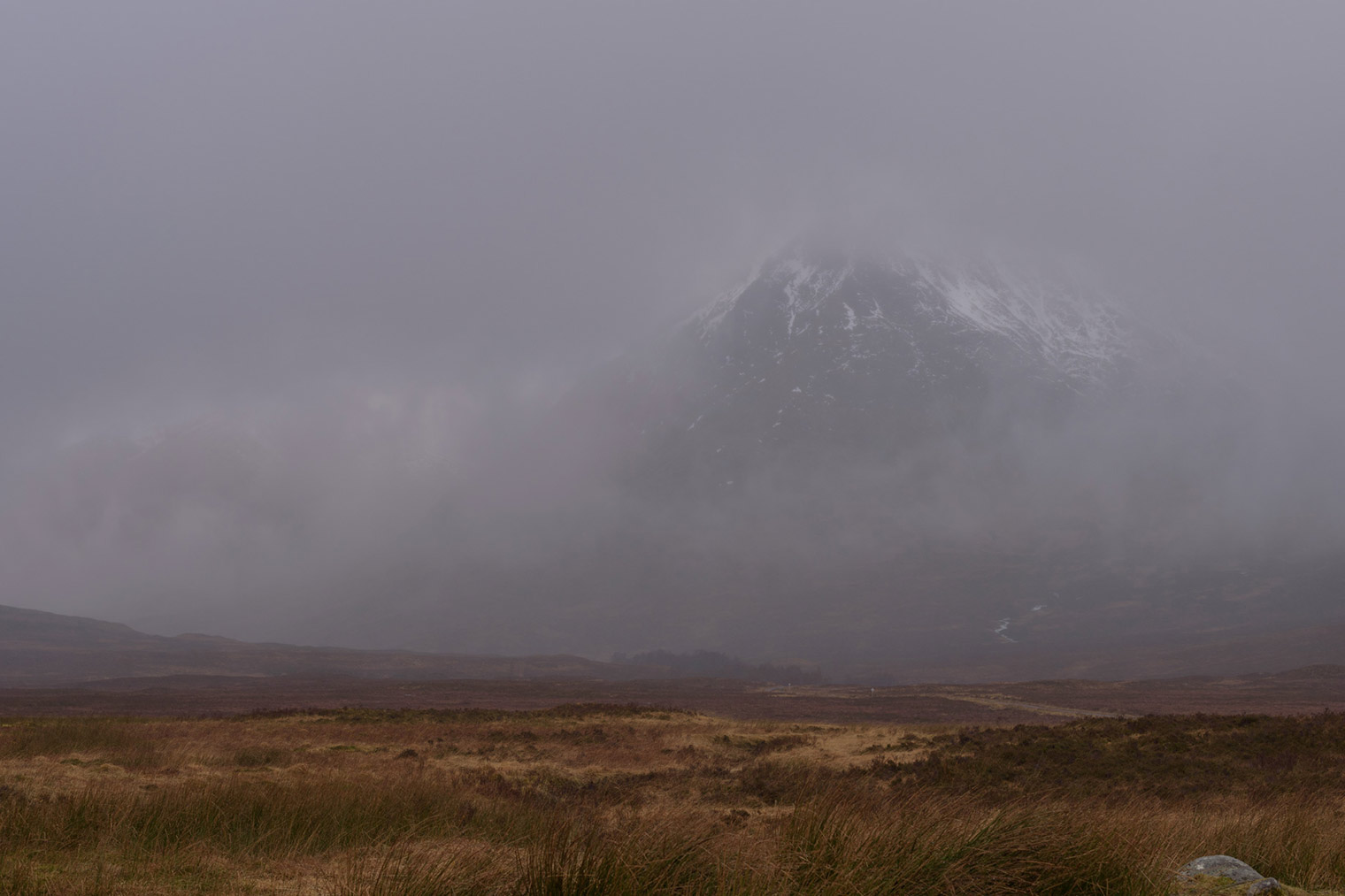Unedited Image