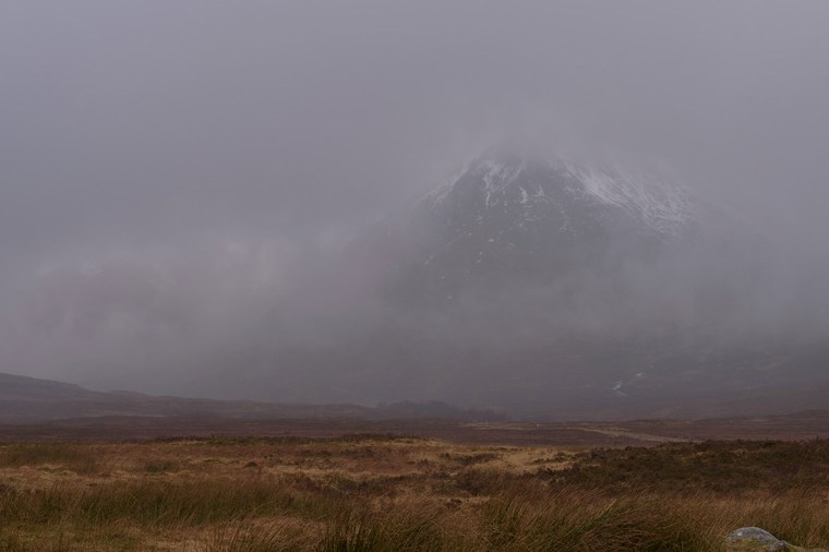 Unedited Image