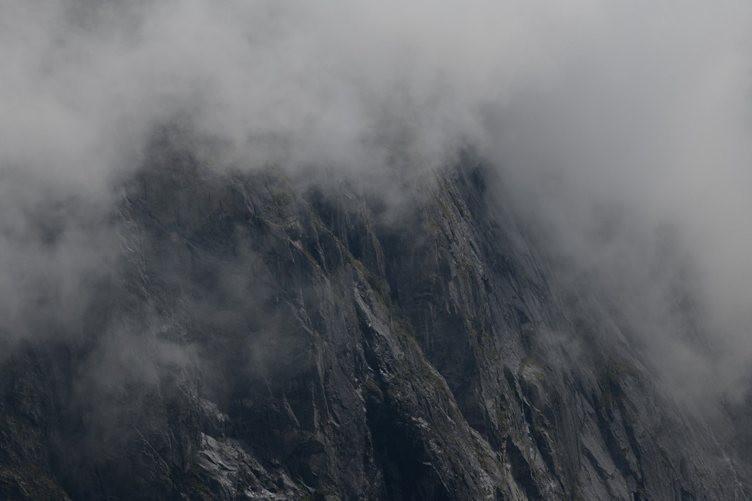 Unedited Image