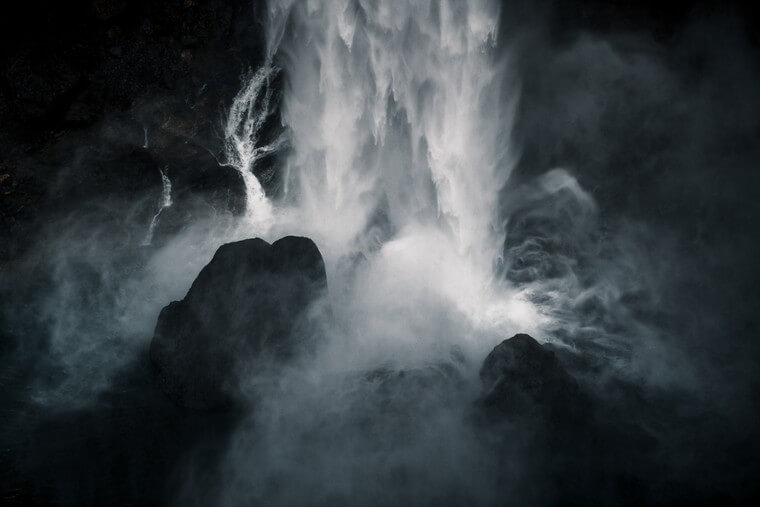 Dark and Moody Forest Landscape