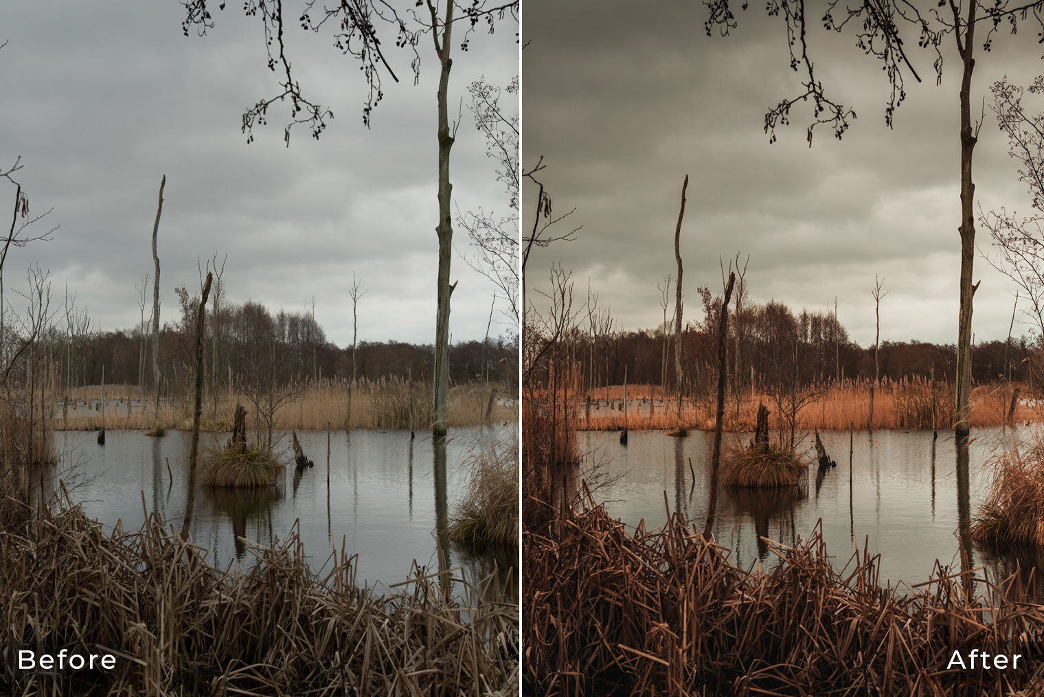 Before & After - Swamp Landscape in Moody Colors