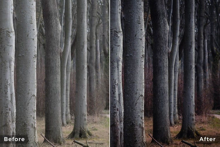 Dark Forest Lightroom Presets