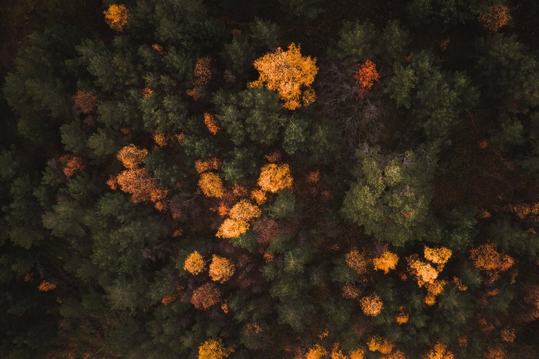 Aerial Photo of Dark Autumn Landscape