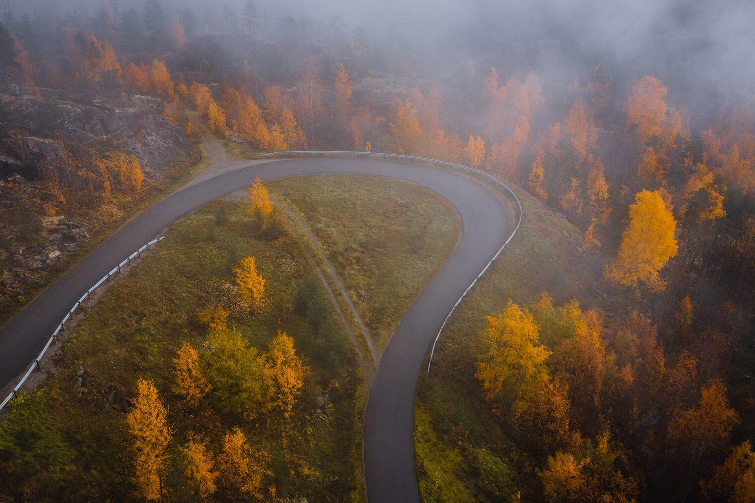 Dark Autumn Forest Lightroom Presets