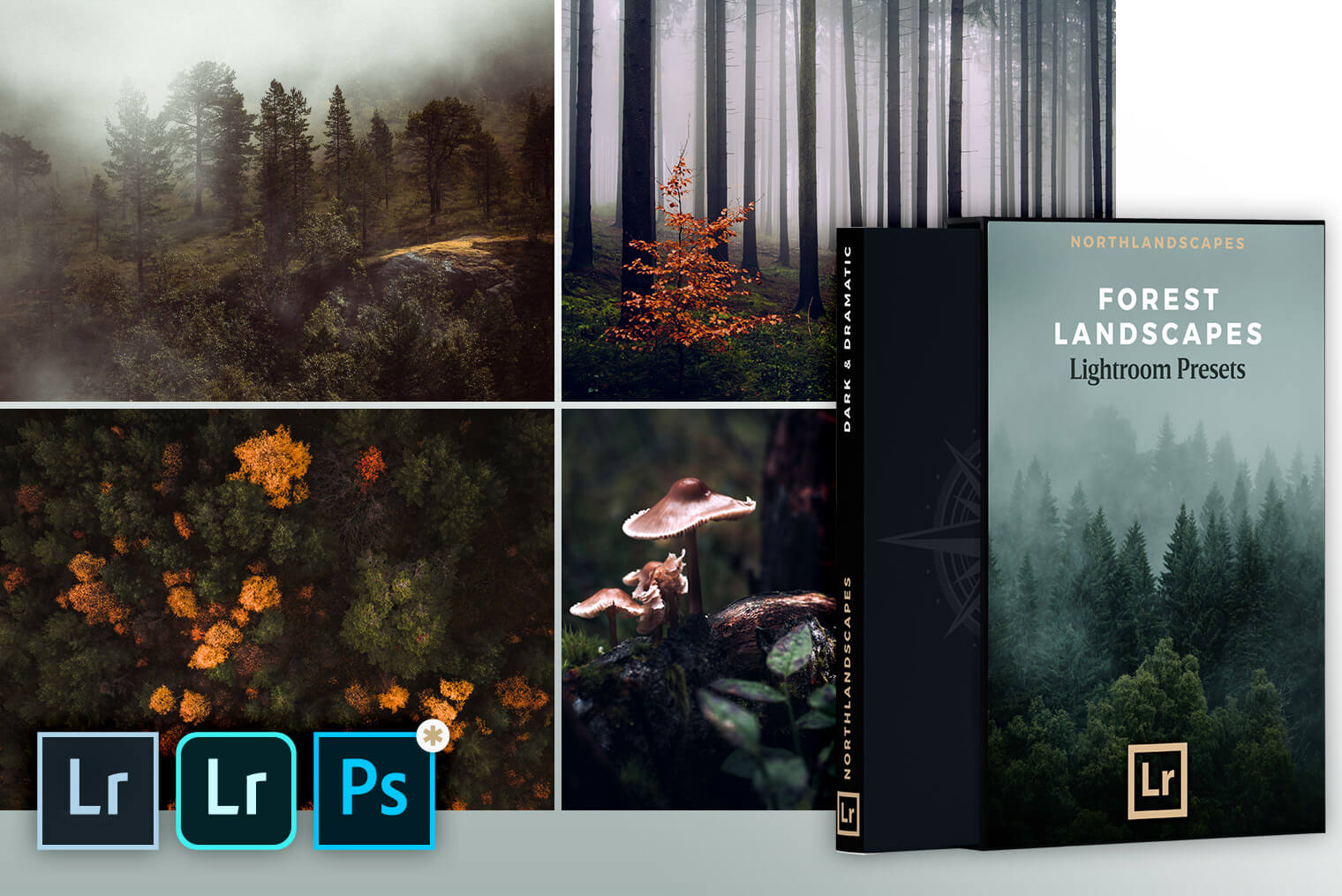 Moody Forest Landscapes Lightroom Presets