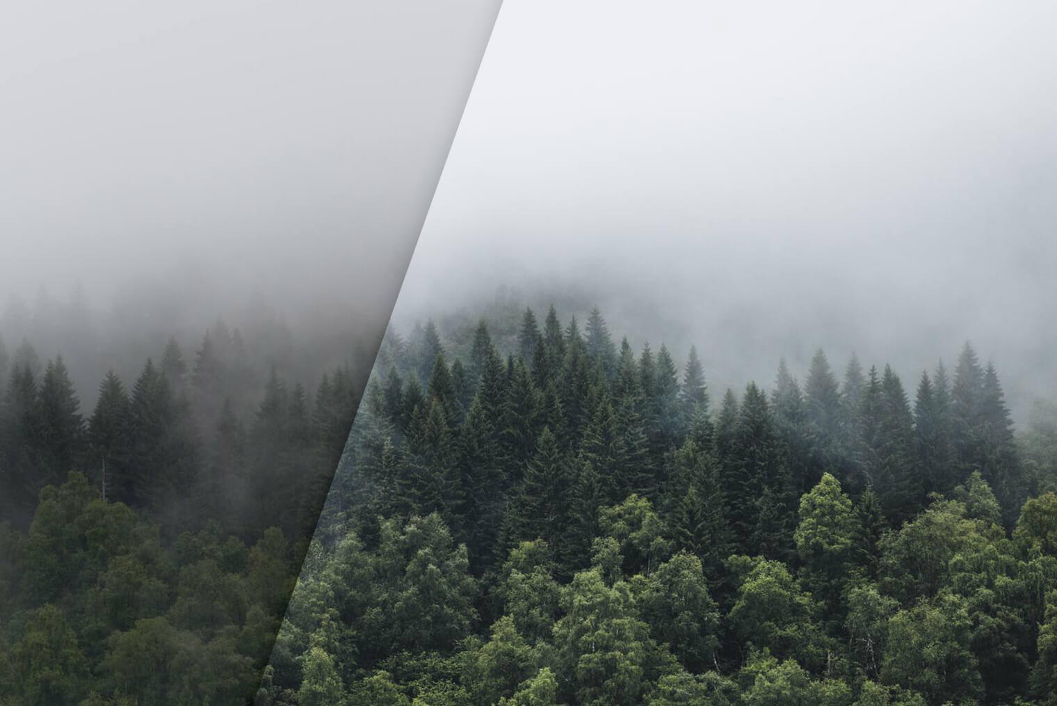 Free Dark Moody Lightroom Presets By Northlandscapes