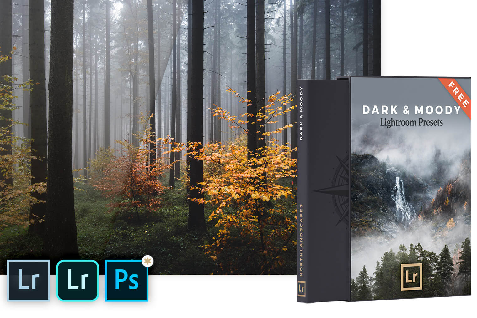Download FREE Dark and Moody Presets