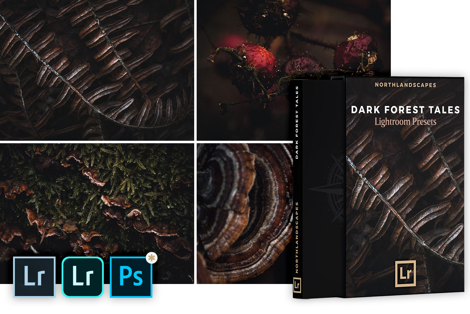FREE Dark Forest Tales Lightroom Presets