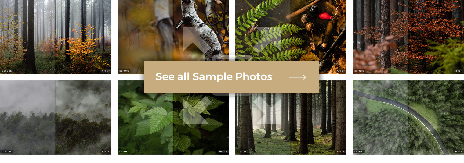 More Sample Photos