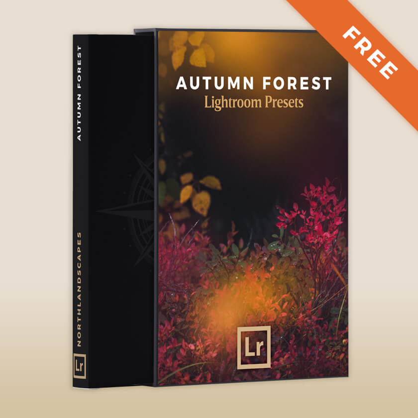 FREE Lightroom preset for autumn forest landscapes