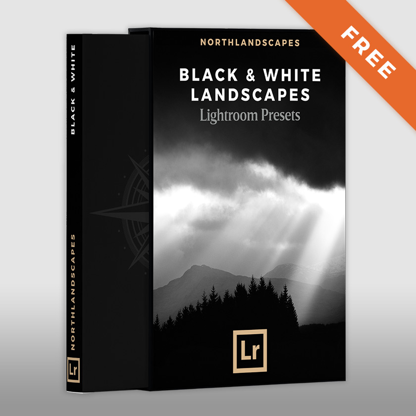 FREE Black and white Lightroom presets