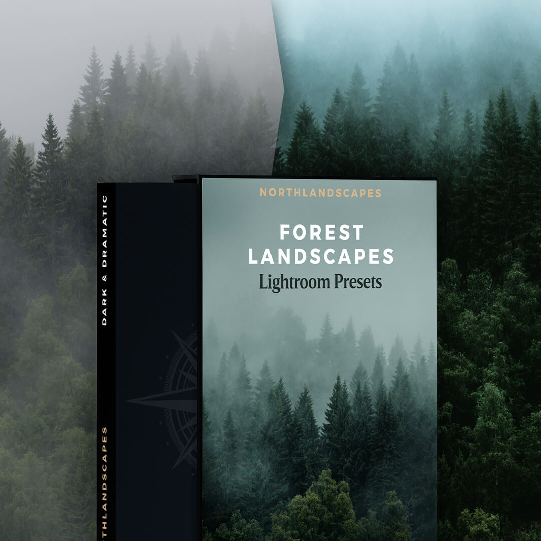 The best Lightroom presets for forest and woodland photography