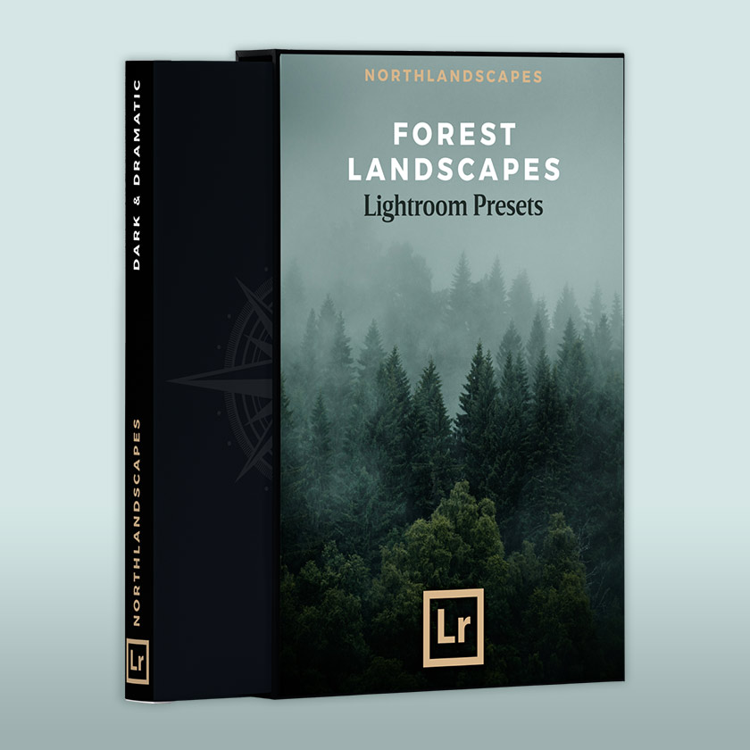 Lightroom Presets for Forest Landscapes