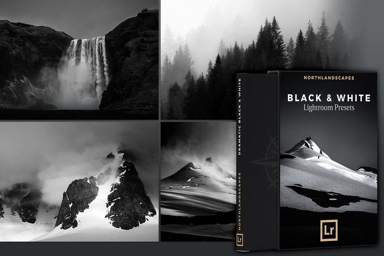 Black & White Lightroom Presets