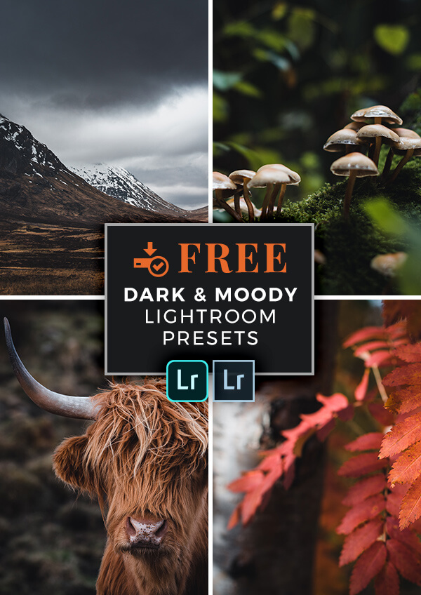 Download FREE Dark & Moody Lightroom Presets for Landscape Photography