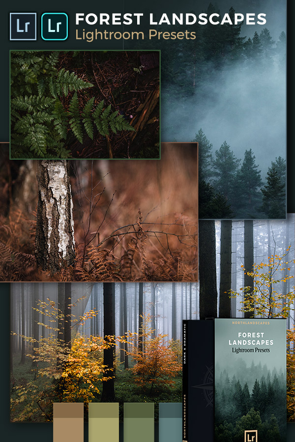 Lightroom Presets for Forest Landscape Photography