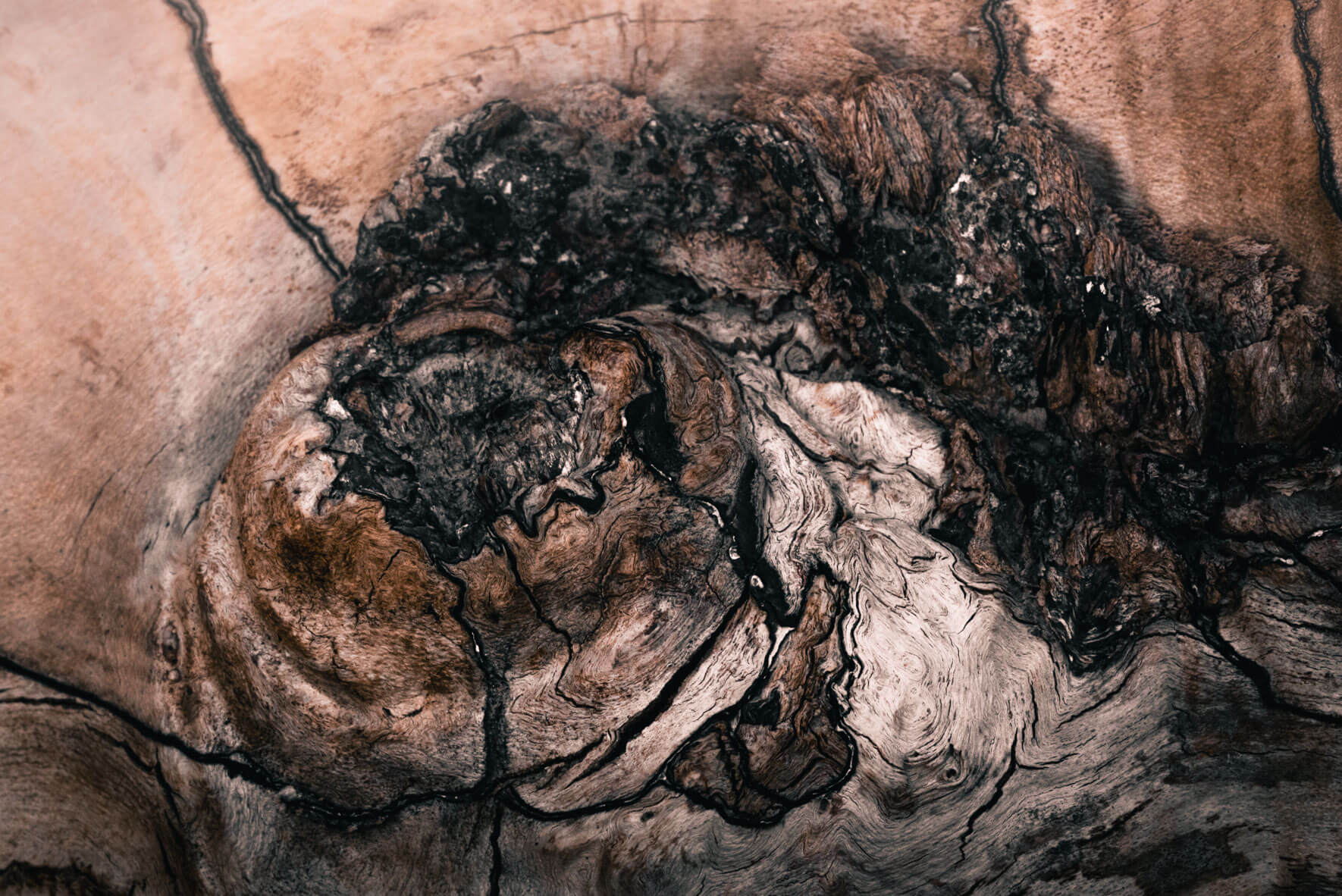 Abstract texture of driftwood