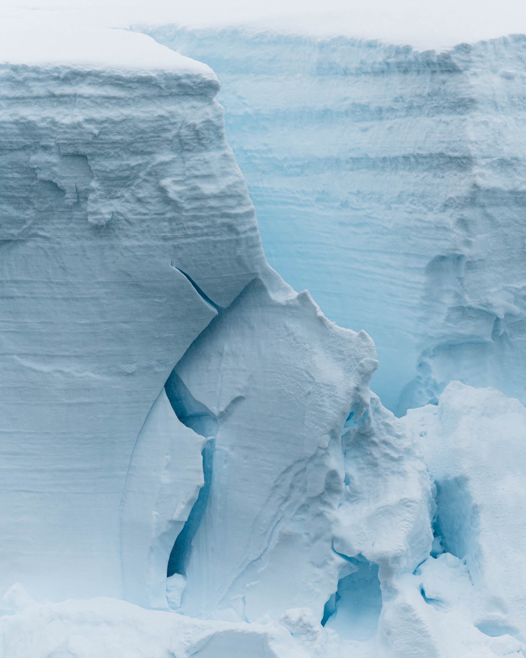 Glacier ice of the Antarctic Peninsula